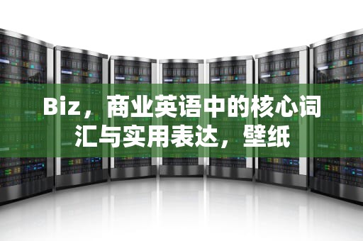 Biz,商业英语中的核心词汇与实用表达,壁纸 Biz,商业英语中的核心词汇与实用表达,壁纸