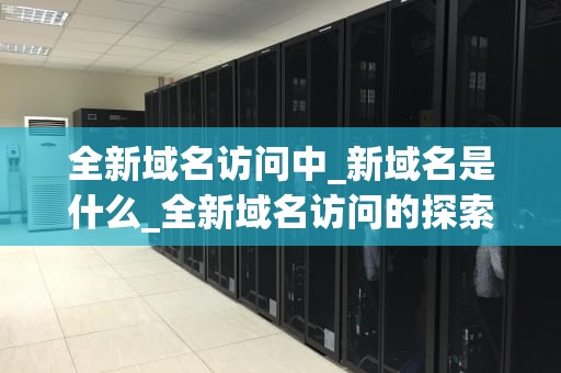 全新域名访问中_新域名是什么_全新域名访问的探索与实践