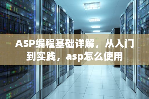 ASP编程基础详解，从入门到实践，asp怎么使用