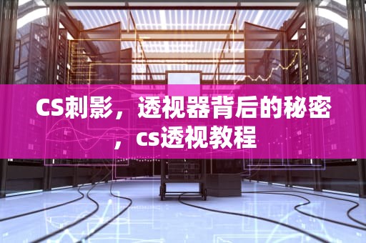 CS刺影，透视器背后的秘密，cs透视教程
