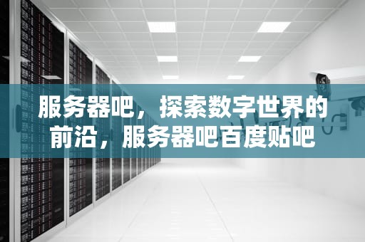 服务器吧，探索数字世界的前沿，服务器吧百度贴吧