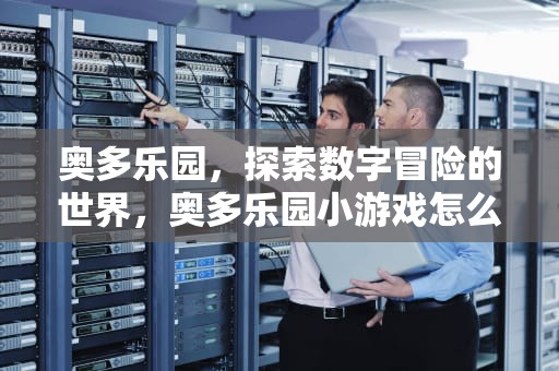 奥多乐园，探索数字冒险的世界，奥多乐园小游戏怎么玩