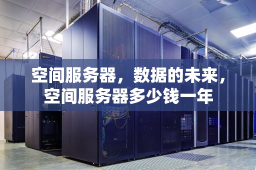 空间服务器，数据的未来，空间服务器多少钱一年