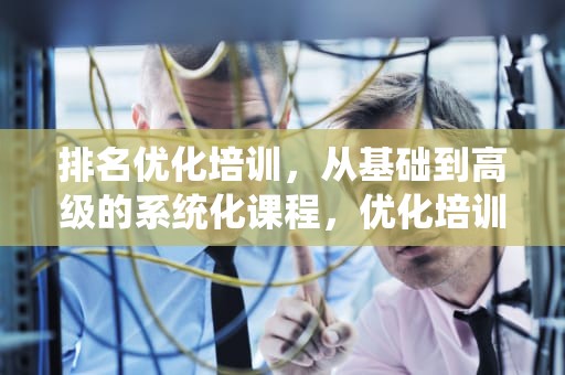 排名优化培训,从基础到高级的系统化课程,优化培训班 排名优化培训,从基础到高级的系统化课程,优化培训班