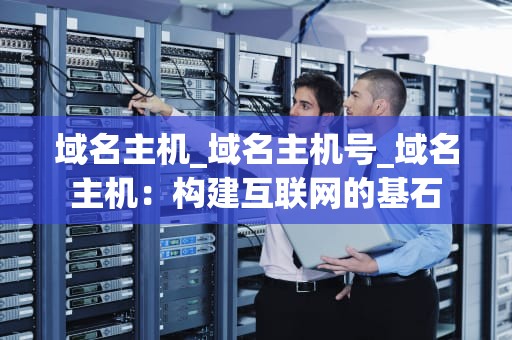域名主机_域名主机号_域名主机：构建互联网的基石