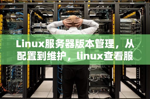 Linux服务器版本管理，从配置到维护，linux查看服务器版本命令