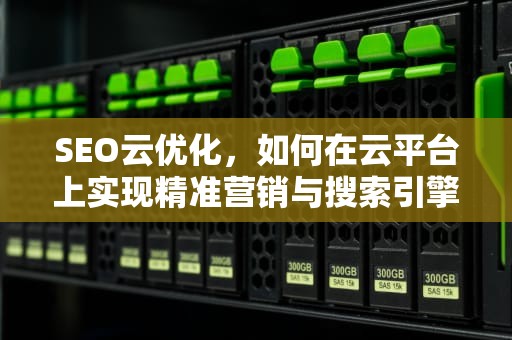 SEO云优化，如何在云平台上实现精准营销与搜索引擎优化，seo云优化方法