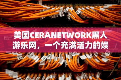 美国CERANETWORK黑人游乐网，一个充满活力的娱乐生态系统，美国黑人游手好闲