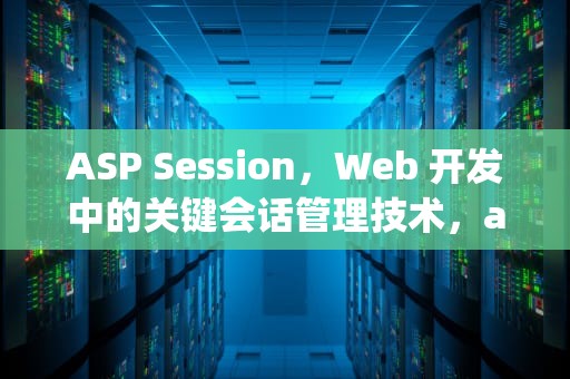 ASP Session，Web 开发中的关键会话管理技术，asp session过期时间