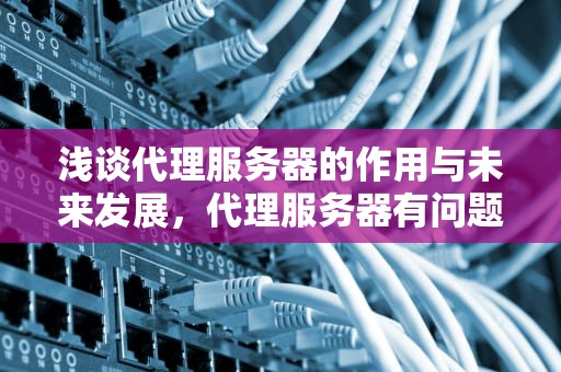浅谈代理服务器的作用与未来发展，代理服务器有问题或者地址有误