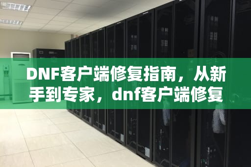 DNF客户端修复指南，从新手到专家，dnf客户端修复在哪