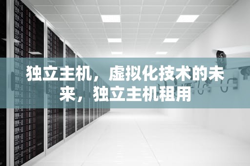 独立主机，虚拟化技术的未来，独立主机租用