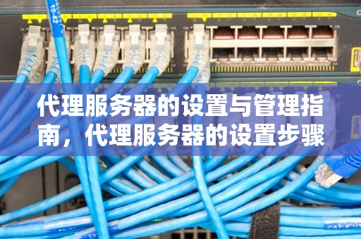 代理服务器的设置与管理指南，代理服务器的设置步骤