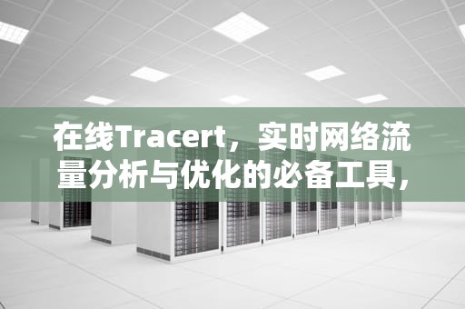 在线Tracert，实时网络流量分析与优化的必备工具，在线tracert工具