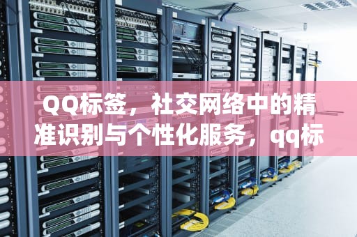 QQ标签，社交网络中的精准识别与个性化服务，qq标签简短有深意
