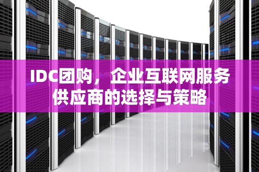 IDC团购，企业互联网服务供应商的选择与策略
