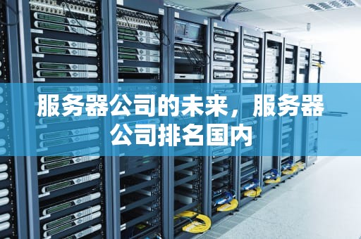 服务器公司的未来，服务器公司排名国内