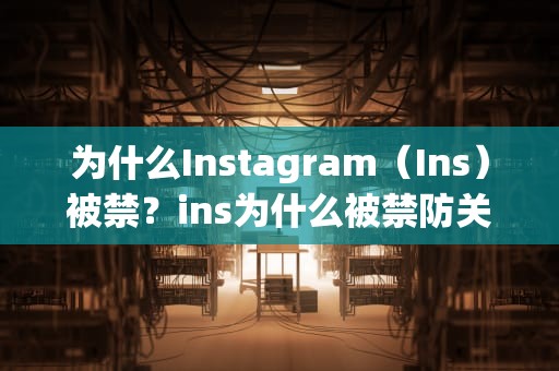为什么Instagram（Ins）被禁？ins为什么被禁防关联候鸟浏览器