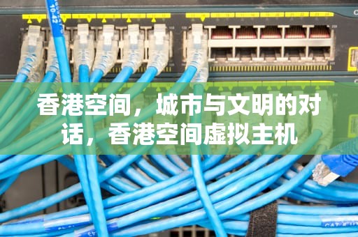 香港空间，城市与文明的对话，香港空间虚拟主机