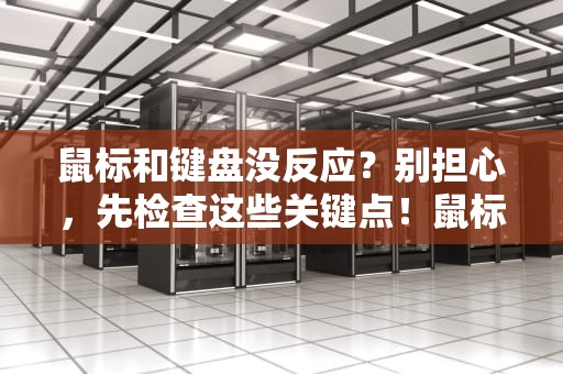 鼠标和键盘没反应？别担心，先检查这些关键点！鼠标和键盘没反应是什么原因