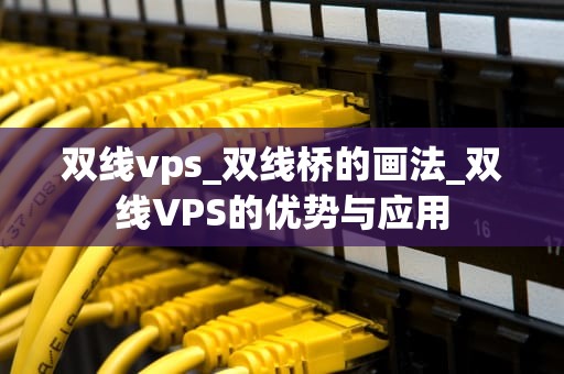双线vps_双线桥的画法_双线VPS的优势与应用