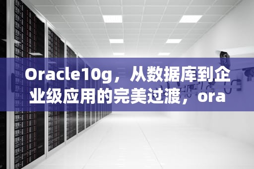 Oracle10g，从数据库到企业级应用的完美过渡，oracle10g安装教程