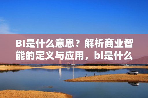 BI是什么意思？解析商业智能的定义与应用，bi是什么意思取向