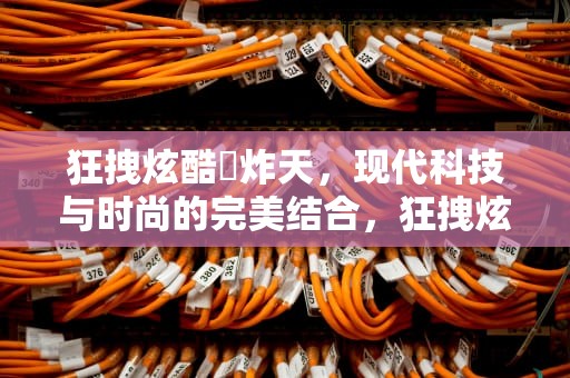 狂拽炫酷屌炸天，现代科技与时尚的完美结合，狂拽炫酷吊炸天上一句