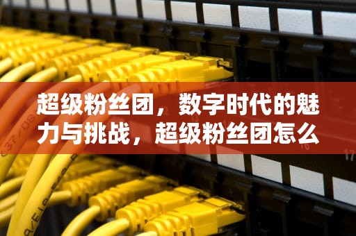 超级粉丝团，数字时代的魅力与挑战，超级粉丝团怎么退团