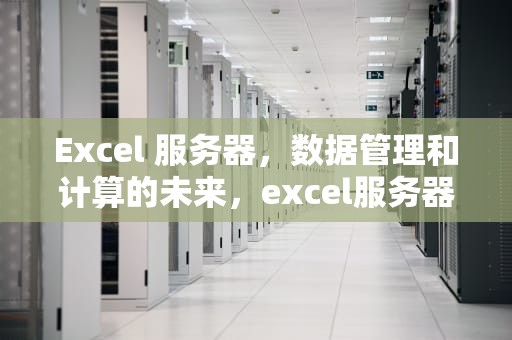 Excel 服务器，数据管理和计算的未来，excel服务器客户端