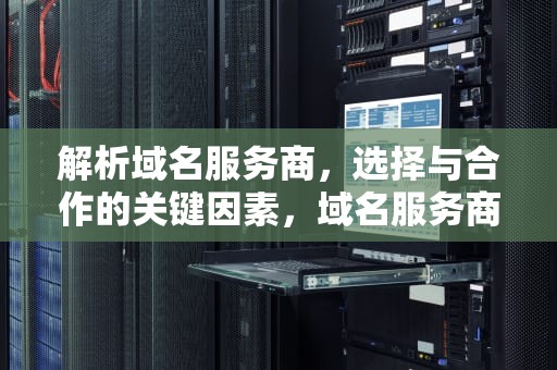 解析域名服务商，选择与合作的关键因素，域名服务商怎么查询