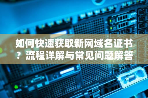 如何快速获取新网域名证书？流程详解与常见问题解答，新网域名证书查询