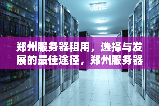 郑州服务器租用，选择与发展的最佳途径，郑州服务器租用公司