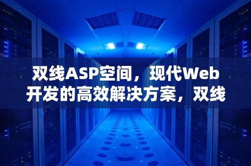 双线ASP空间，现代Web开发的高效解决方案，双线性空间