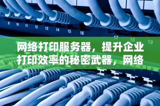 网络打印服务器，提升企业打印效率的秘密武器，网络打印服务器怎么连接