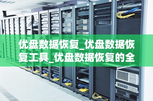 优盘数据恢复_优盘数据恢复工具_优盘数据恢复的全面指南