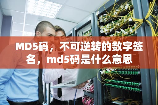 MD5码，不可逆转的数字签名，md5码是什么意思