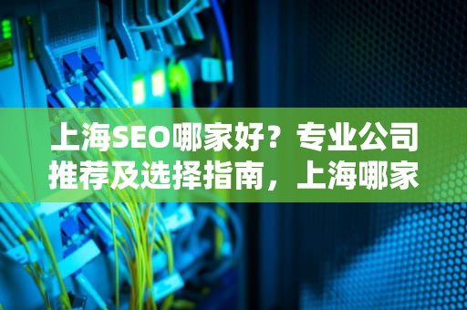 上海SEO哪家好？专业公司推荐及选择指南，上海哪家seo公司好