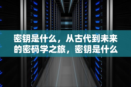 密钥是什么，从古代到未来的密码学之旅，密钥是什么意思
