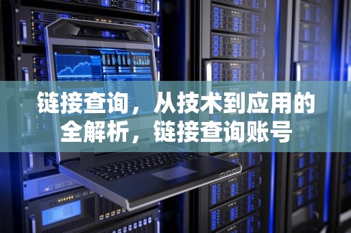 链接查询，从技术到应用的全解析，链接查询账号