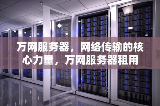 万网服务器，网络传输的核心力量，万网服务器租用