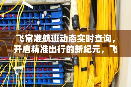 飞常准航班动态实时查询，开启精准出行的新纪元，飞常准航班动态实时查询怎么查