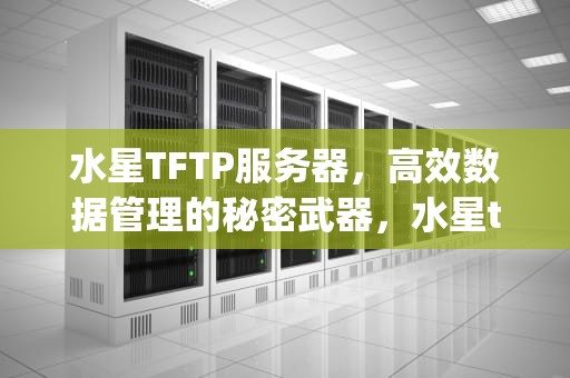 水星TFTP服务器，高效数据管理的秘密武器，水星tftp服务器怎么开启