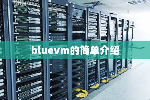 bluevm的简单介绍