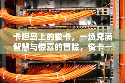 卡坦岛上的俊卡，一场充满智慧与惊喜的冒险，俊卡一卡通