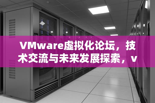 VMware虚拟化论坛，技术交流与未来发展探索，vmware虚拟机论坛