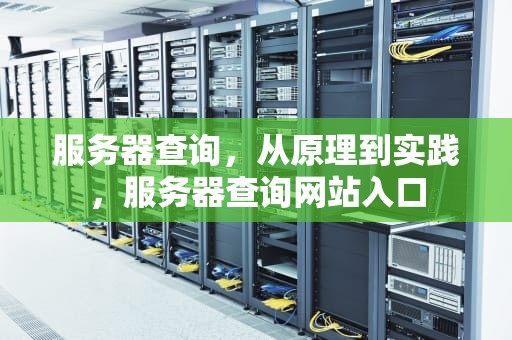 服务器查询，从原理到实践，服务器查询网站入口
