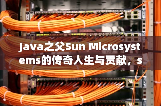 Java之父Sun Microsystems的传奇人生与贡献，sun java证书