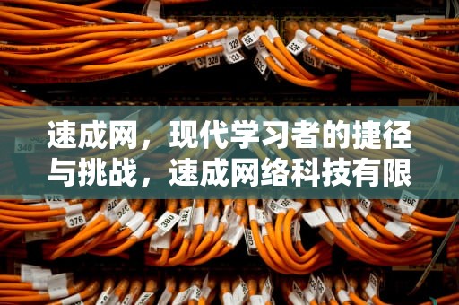 速成网，现代学习者的捷径与挑战，速成网络科技有限公司