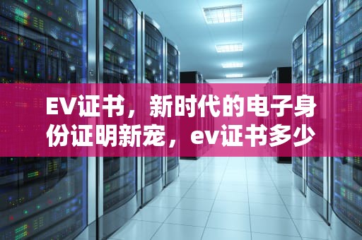 EV证书，新时代的电子身份证明新宠，ev证书多少钱